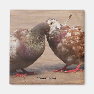 Het moet liefde zijn magneet