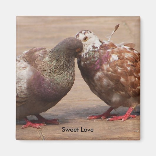 Het moet liefde zijn magneet (Voorkant)