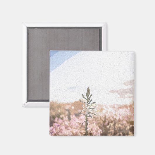 Het moment Co. Magneet (Voorkant / Achterkant)