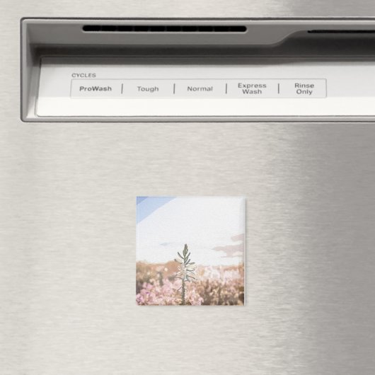 Het moment Co. Magneet (Insitu (Vaatwasser))