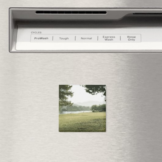 Het moment Co. Magneet (Insitu (Vaatwasser))