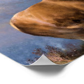 Het Monarch van de Glen Poster (Hoek)