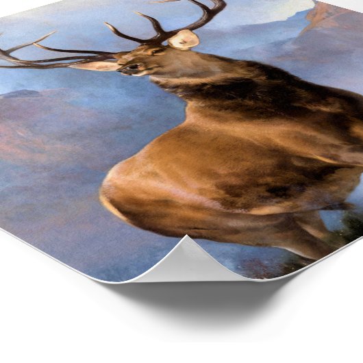 Het Monarch van de Glen Poster (Hoek)