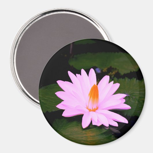 Het Monet-effect... Magneet (Voorkant / Achterkant)