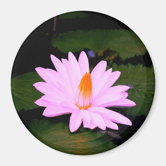 Het Monet-effect... Magneet (Voorkant)