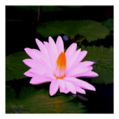 Het Monet-effect... Perfect Poster (Voorkant)