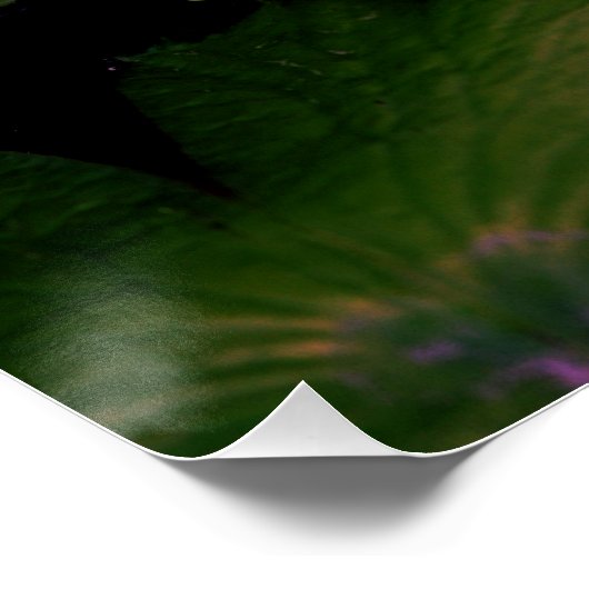 Het Monet-effect... Perfect Poster (Hoek)