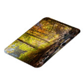 Het mooie Autumn bos met een rivier Magneet (Linkerzijde)