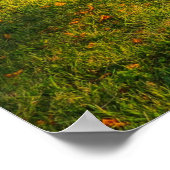 Het mooie Autumn-landschap Poster (Hoek)