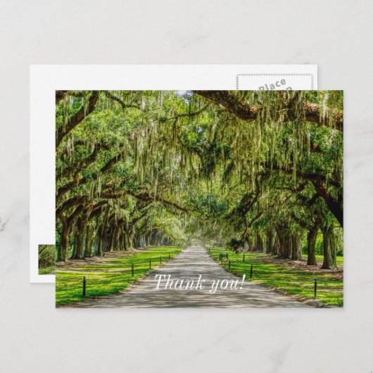 Het mooie avontuurtje van Oaks bedankt je Briefkaa Briefkaart (Voorkant / Achterkant)