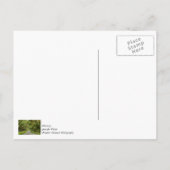 Het mooie avontuurtje van Oaks bedankt je Briefkaa Briefkaart (Achterkant)