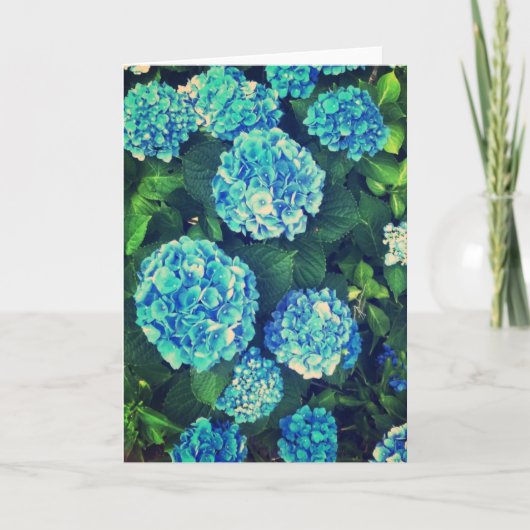 Het mooie Blauwe Lege Wenskaart van de Hydrangea Kaart (Voorkant)