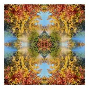 Het mooie bos in de herfst... perfect poster