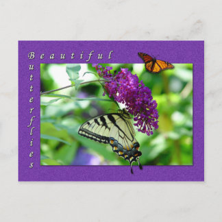 Het mooie Briefkaart Butterflies