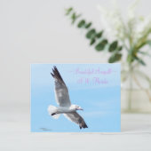 Het mooie Briefkaart van Florida van de zeemeeuw (Staand voorkant)