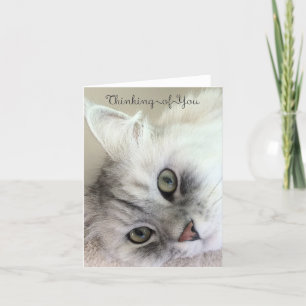 Het mooie Denken aan u (de Lege Kaart van de Nota)