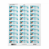 Het mooie en kleurrijke etiket van het vogeladres (Full Sheet)