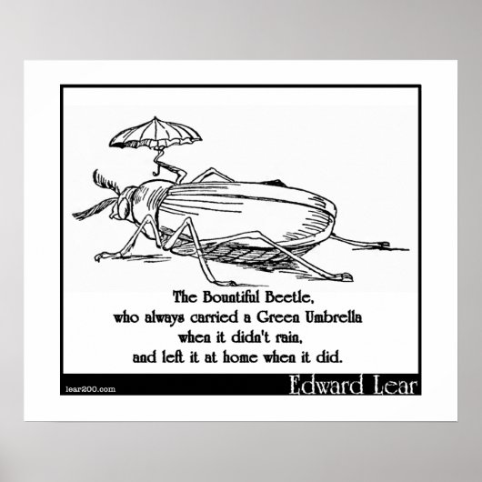 Het mooie gebaar poster (Voorkant)