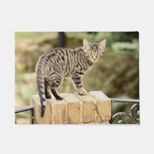 Het mooie Grijze Zwarte Katje van Bengalen Deurmat