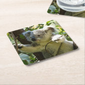 Het mooie Koala-Beer in de bomen Kartonnen Onderzetters (Schuin)