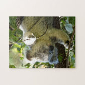 Het mooie Koala-Beer in de bomen Legpuzzel (Horizontaal)