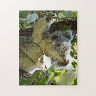 Het mooie Koala-Beer in de bomen Legpuzzel