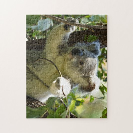 Het mooie Koala-Beer in de bomen Legpuzzel (Verticaal)