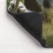 Het mooie Koala-Beer in de bomen Muismat (Hoek)