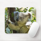 Het mooie Koala-Beer in de bomen Muismat (Met muis)