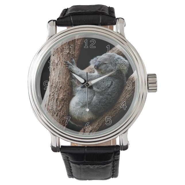 Het mooie Koala-Beer in een boom Horloge (Voorkant)