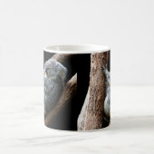 Het mooie Koala-Beer in een boom Koffiemok (Center)