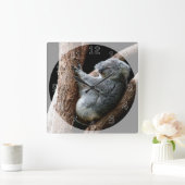 Het mooie Koala-Beer in een boom Vierkante Klok (Huis)