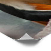 Het mooie Monkey-portretprofiel Poster (Hoek)