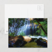 Het mooie Oerwoud van de Waterval Briefkaart (Voorkant / Achterkant)