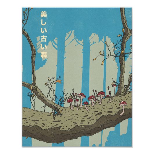 Het mooie oude bos foto afdruk (Voorkant)
