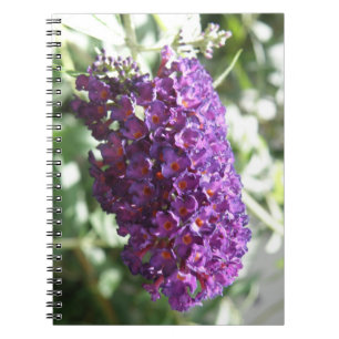 Het mooie Paarse Boeddleia Flowers Notitieboek