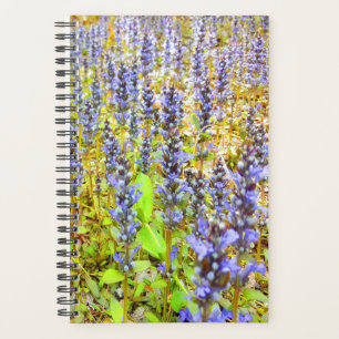 Het mooie Paarse Gebied van Bloemen Planner
