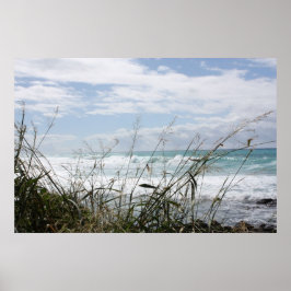 Het mooie Poster van de Hawaiiaanse Oceaan