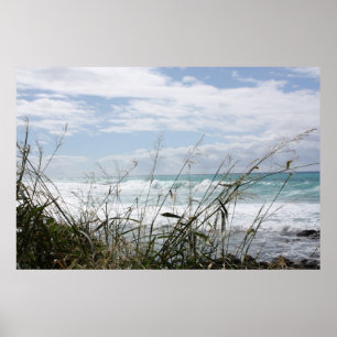 Het mooie Poster van de Hawaiiaanse Oceaan
