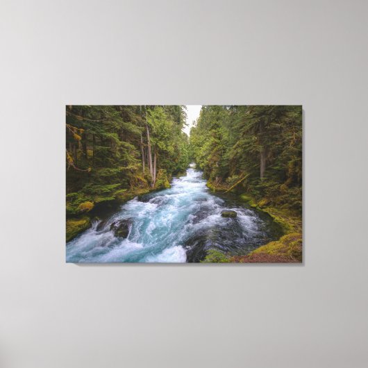 Het mooie Roaring-bos van bomen Canvas Afdruk (Voorkant)