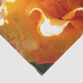 Het mooie Sinaasappel nam toe Tissuepapier (Detail)