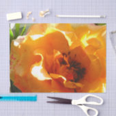 Het mooie Sinaasappel nam toe Tissuepapier (Craft)