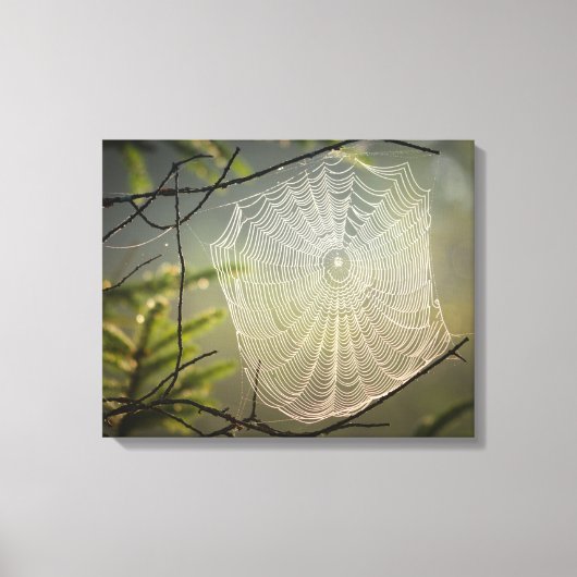Het mooie Spider Web in het bos op Canvas Afdruk (Voorkant)