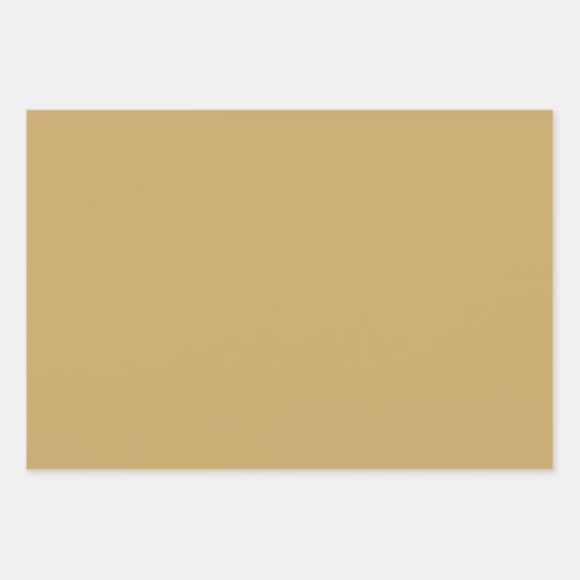 Het mooie thema Green en Gold Safari Inpakpapier Vel (Voorkant 2)