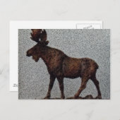 Het mooie Toestel van de Amerikaanse elanden van Briefkaart (Voorkant / Achterkant)