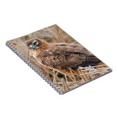 Het mooie Vrouw Noord Harrier in Marsh Notitieboek (Rechterzijde)