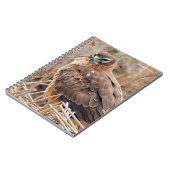 Het mooie Vrouw Noord Harrier in Marsh Notitieboek (Linkerzijde)