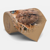 Het mooie Vrouw Noord Harrier in Marsh Stropdas (Opgerold)