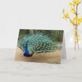 Het mooie Wenskaart van de Pauw Kaart (Gele Bloem)
