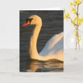 Het mooie Wenskaart van de Zwaan Kaart (Gele Bloem)